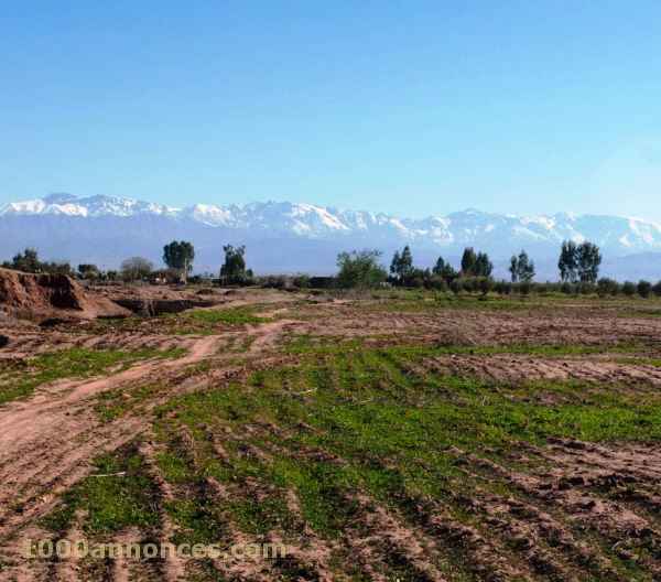 Terrain, Ferme اراضي و مزارع