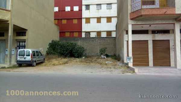 Terrain, Ferme اراضي و مزارع