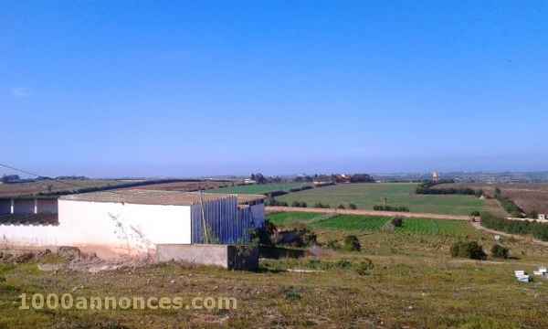 Terrain, Ferme اراضي و مزارع