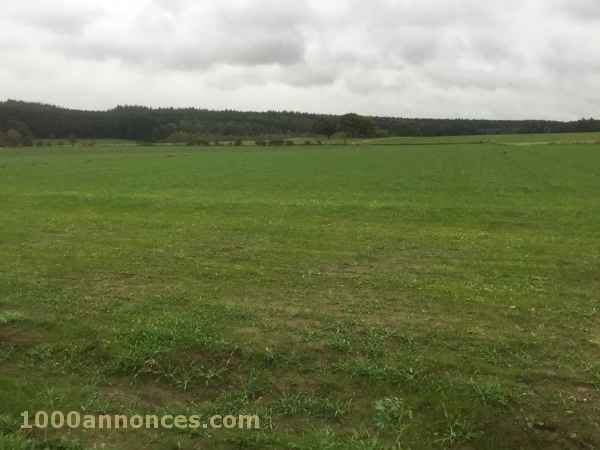 Terrain, Ferme اراضي و مزارع
