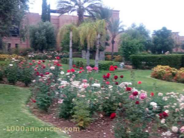 Propriétés à vendre عقارات للبيع