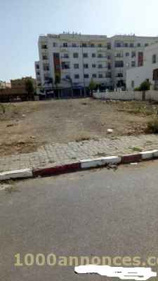 Terrain, Ferme اراضي و مزارع