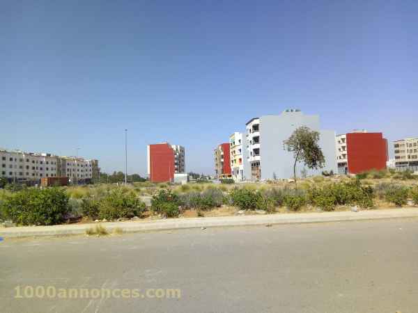 Terrain, Ferme اراضي و مزارع