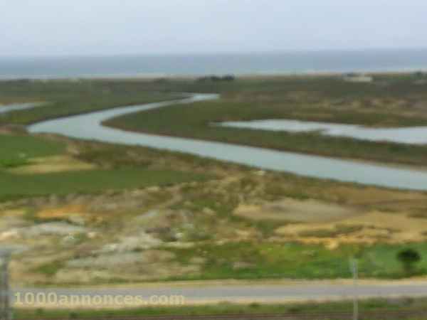 Terrain, Ferme اراضي و مزارع