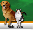 1000 annonces Maroc - إعلانات المغرب المبوبة categorie Animaux